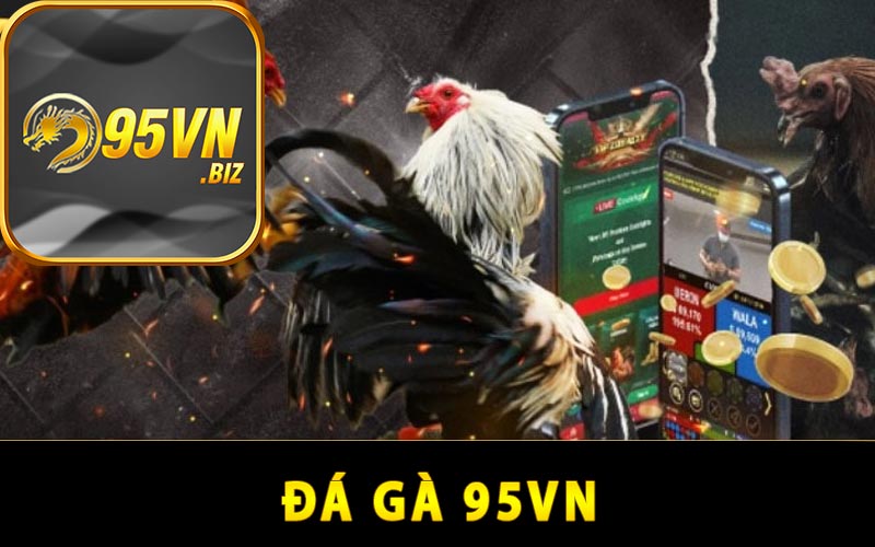 Đá gà 95vn